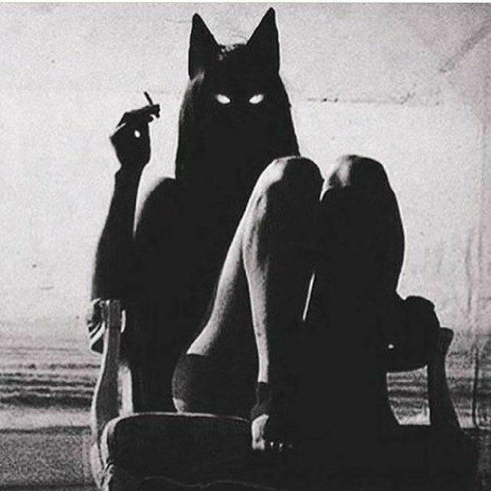 Meet your Posher, Liv